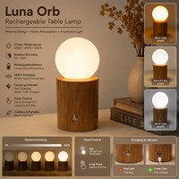 Lampe de table globe sans fil à alimentation CC, rechargeable, simple, 3 températures de couleur, intensité variable, couleur personnalisée, pour hôtels et restaurants, OEM ODM