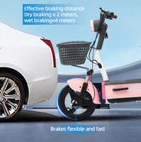 Vélo électrique à gros pneus, batterie au plomb-acide 48V, autonomie 55-65 km, cadre en acier à haute teneur en carbone, moyeu arrière, roues de 14 pouces, longue autonomie, électronique