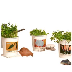Kit complet de culture de légumes micro-verts, ensemble de cadeaux de jardinage pour femmes - Product Image 1