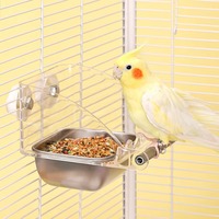 Bol d'alimentation rectangulaire mural transparent anti-éclaboussures avec perchoir, accessoires pour cage à oiseaux pour perruches et calopsittes