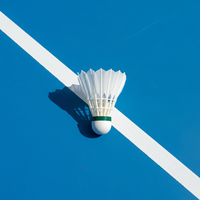Volant de badminton professionnel hybride premium en plumes d'oie noires lavées, double couche composite, liège écologique, vol stable, entraînement professionnel