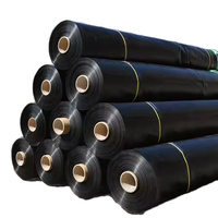 Géomembrane HDPE GM13 0,5 mm et 1,5 mm, imperméable et durable pour bassin piscicole, étang, barrage