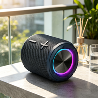 Équipement audio sans fil IPX7 5.3, étanche, éclairage LED RGB, enceinte portable