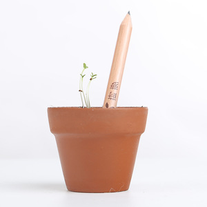 Raco pour Ensemble de Crayons Plantables Mini en Bois Naturel avec Logo Imprimable - Product Image 1
