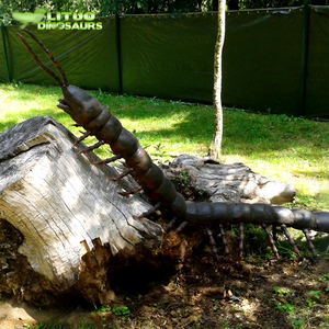 โมเดลแมลงสาบยักษ์เคลื่อนไหวได้ ซูเปอร์แอนิเมทรอนิกส์ อินเซ็ทต์วัลเล่ย์ - Product Image 1