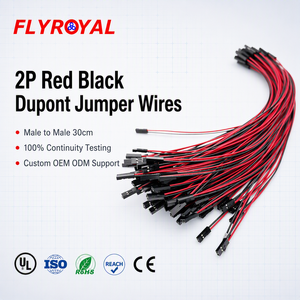 Câble Jumper Plat Dupont Rouge et Noir Personnalisé de 30 cm, Mâle-Mâle, 2 Broches, Faisceau de Câbles pour Platine d'Expérimentation Arduino GPIO, Fourniture OEM ODM - Product Image 1