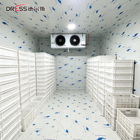 Unité de condensation monobloc pour mini-chambre froide, réfrigération pour chambre froide à poisson, chambre froide commerciale, chambre froide de plain-pied