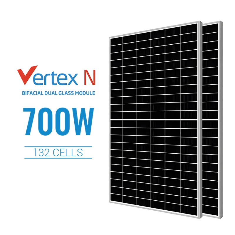 Trina Solar 132 Zellen zweiseitiges PV-Modul mit Doppelglas 675 W 680 W 685 W 690 W 695 W 700 W Solarpanels auf Lager