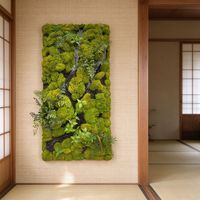 Panneau mural en mousse préservée de qualité supérieure de 100 cm pour la décoration intérieure