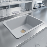 Évier de laboratoire en résine époxy anti-corrosion standard Durcon