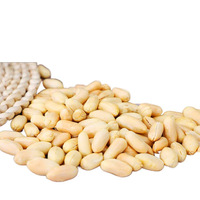 Arachides de haute qualité exportées au Japon et en Europe, disponibles en différentes saveurs (saliées, wasabi, algues), toutes uniformes en taille.