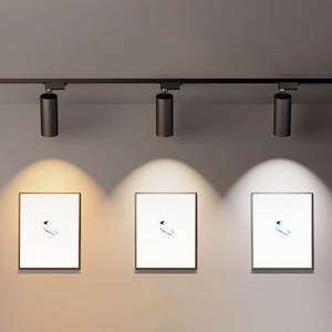 Theo dõi ánh sáng LED ánh sáng tại chỗ cửa hàng quần áo triển lãm thương mại Gallery 10W Spotlight COB hướng dẫn ánh sáng - Product Image 2