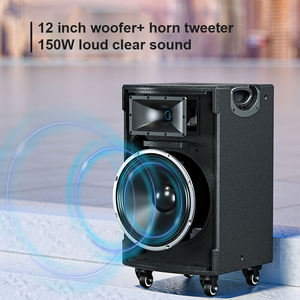 150W Trolley <b>Speaker</b> With Wireless <b>Microphone</b> Customized LOGO Outdoor Party Stage Large Trolley <b>Speaker</b> With Wirel - Product Image 4