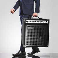 Amplificateur de Guitare 50 W à Logo Personnalisé pour Guitares Électriques et Basses, pour Violonistes et Claviéristes (Instrumentos Musicales)