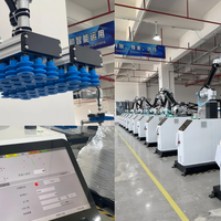 Robot de Paletización Colaborativo Seguro y sin Cercas de Protección, 35 kg, para Ahorro de Espacio, Automatización de Fábrica, Agarre Flexible
