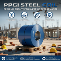 Bobine d'acier PPGI de première qualité DX51D SGCC, couleur RAL, revêtement PE, bobine galvanisée prépeinte, livraison directe d'usine