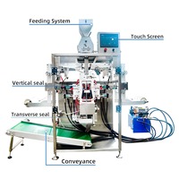 Machine d'emballage de pochettes de glace à film à six rangées et deux rouleaux en acier inoxydable SS304 haute vitesse pour le transport de fruits de mer