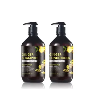 Commercio all'ingrosso Private Label 100% Naturale Organico Migliore Ginger Capelli Shampoo Anti Forfora