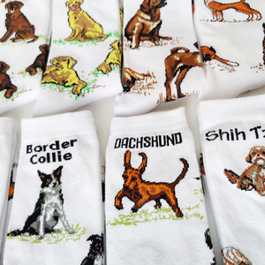 2023 nouveau Harajuku femmes hommes dessin animé Animal de compagnie chien Husky <span class=keywords><strong>Corgi</strong></span> caniche Labrador mode longues <span class=keywords><strong>chaussettes</strong></span> pour hommes blanc drôle <span class=keywords><strong>chaussettes</strong></span> - Product Image 4