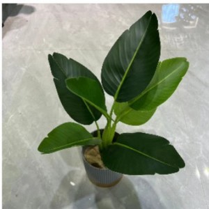 Plante artificielle en feuilles de bananier Greenway, 30 cm-100 cm, feuilles en plastique et soie, décoration en pot pour intérieur et extérieur - Product Image 2