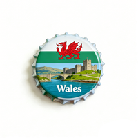 Aimant de réfrigérateur personnalisable avec ouvre-bouteille, motif dragon du Pays de Galles, Cardiff, aimant souvenir