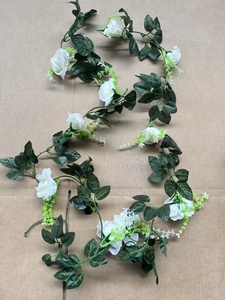 <span class=keywords><strong>Et</strong></span> Chèvrefeuille Formation Suspendus Champagne Himalaya un Pays Jaune Cherokee Arbor Rambling Seven New Rose with Vine - Product Image 3