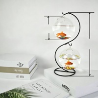 Aquarium suspendu créatif en verre avec vase hydroponique en fer forgé pour Pothos