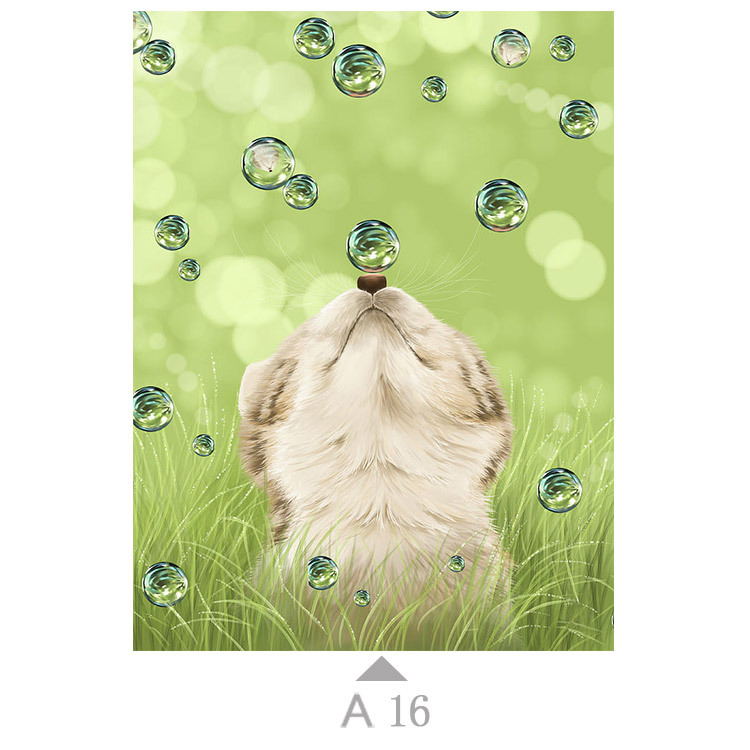 Multicolor-A16
