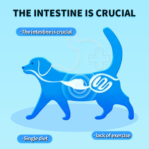 Probiotiques pour chiens et chats avec technologie Coated Tech, supplément digestif à 2 millions de bactéries vivantes pour soulager la <span class=keywords><strong>diarrhée</strong></span> et les odeurs des excréments - Product Image 2