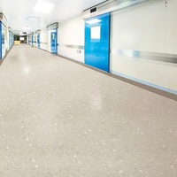 Revêtement de sol en vinyle PVC pour hôpital, résistant à la pression, insonorisant, 3 mm, pour salle pédiatrique
