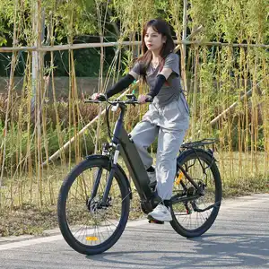 Ebike motor elétrico escondido de bicicleta, bateria de lítio escondida, motor de bicicleta euro 29 er, 27.5 polegadas, mtb e bike, 36/48v de unidade média, elétrica