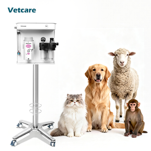 Thiết bị thú y hàng đầu Bệnh viện Y tế gây mê thiết bị Lớn bác sĩ thú y gây mê máy - Product Image 1
