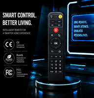 Télécommande sans fil noire à 30 touches pour TV BOX, avec piles AAA et portée de 10 m, en plastique – Vente en gros directe usine Chine