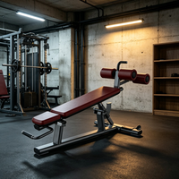 Banc de musculation réglable BM en acier de haute qualité et mousse antidérapante, design portable pour entraînement pectoral/des épaules, équipement de gym