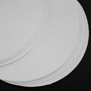 Offre Spéciale : Sous-ensemble de membrane microporeuse PA6, film nylon polyester 0,6 µm pour l'industrie alimentaire - Product Image 4