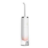 OEM 2025 Rouge À Lèvres Magnétique Hydropulseur Nettoyeur De Dents IPX7 Eau Dentaire Portable Irrigateur Oral Électrique Eau Pick Flosser