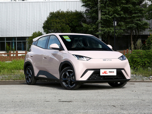<span class=keywords><strong>Prezzo</strong></span> Basso <span class=keywords><strong>con</strong></span> Alta Qualità: BYD Seagull Edizione Vitality 2025, Autonomia 305KM, Batteria 30-50kWh, Guida a Sinistra, <span class=keywords><strong>Auto</strong></span> Usata - Product Image 3