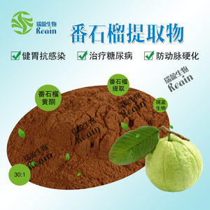 天然グアバ果実エキス粉末10:1 20:1 30:1 Psidium Guajavaエキス - Product Image 4