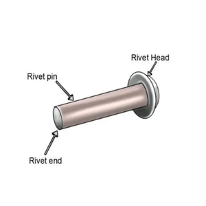 Placage personnalisé en métal semi-tubulaire solide étape plate <span class=keywords><strong>ronde</strong></span> tête fraisée M2 M3 M4 M5 M6 M8 galvaniser de grands rivets - Product Image 6