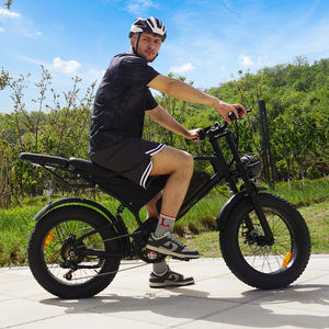 AU Market Leader 48V <span class=keywords><strong>Bicicleta</strong></span> <span class=keywords><strong>eléctrica</strong></span> 1000W Motor de alta potencia Suspensión dual Pantalla LCD 25 km/h Road Legal Design - Product Image 1