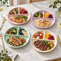 Assiette de service en céramique à 3 compartiments, assiette à dîner en porcelaine couleur personnalisée, assiette de contrôle des portions, OEM ODM Vente en gros