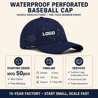 Casquette de baseball imperméable, perforée, respirante, protection solaire, légère, sportive, réglable, logo personnalisé, OEM, vente en gros, faible MOQ