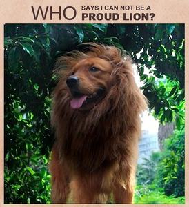 Costume da Leone Realistico e Divertente per <span class=keywords><strong>Cani</strong></span>, Criniera Marrone in Pelliccia Sintetica con Orecchie e Coda, per <span class=keywords><strong>Cani</strong></span> di Taglia Media e Grande, Tutte le Stagioni - Product Image 5