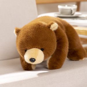 Peluche confortable en forme d'ours brun, panda, ours polaire de la boutique Doll <span class=keywords><strong>Tribe</strong></span>, jouet en peluche doux, simulation de poils, principalement en peluche douce, doublure en maille, mignon - Product Image 4