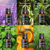 Vente en gros de coffrets cadeaux d'huiles essentielles végétales 100% pures et naturelles pour l'aromathérapie biologique