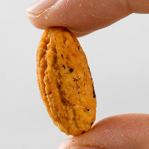 Torreya Grandis Nuovo Sacchetto da 500g di Sale Commestibile Salato, Frutta Secca Allungata da Alberi Anziani del Fujian, Snack per il Tempo Libero all'Ingrosso - Product Image 2