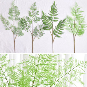 <span class=keywords><strong>D</strong></span>écoration <span class=keywords><strong>d</strong></span>'intérieur : Fougère artificielle en forme <span class=keywords><strong>d</strong></span>'asperge, feuilles laminées multi-branches floquées, plante artificielle pour aménagement paysager <span class=keywords><strong>d</strong></span>'hôtels et gîtes, vente en gros - Product Image 2