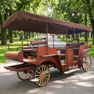 Carruaje de Alta Gama Hecho a Medida, Carruaje de Caballos de Alta Calidad para Transporte Especial y Turismo - Product Image 1