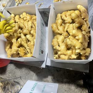 Высокое качество новый урожай Свежий Желтый Имбирь горячая Распродажа товар - Product Image 3