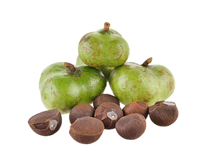 Экстракт семян камелии Синенсис, 60% чай, сапонин, Cmellia <span class=keywords><strong>Sinensis</strong></span>, порошок - Product Image 2